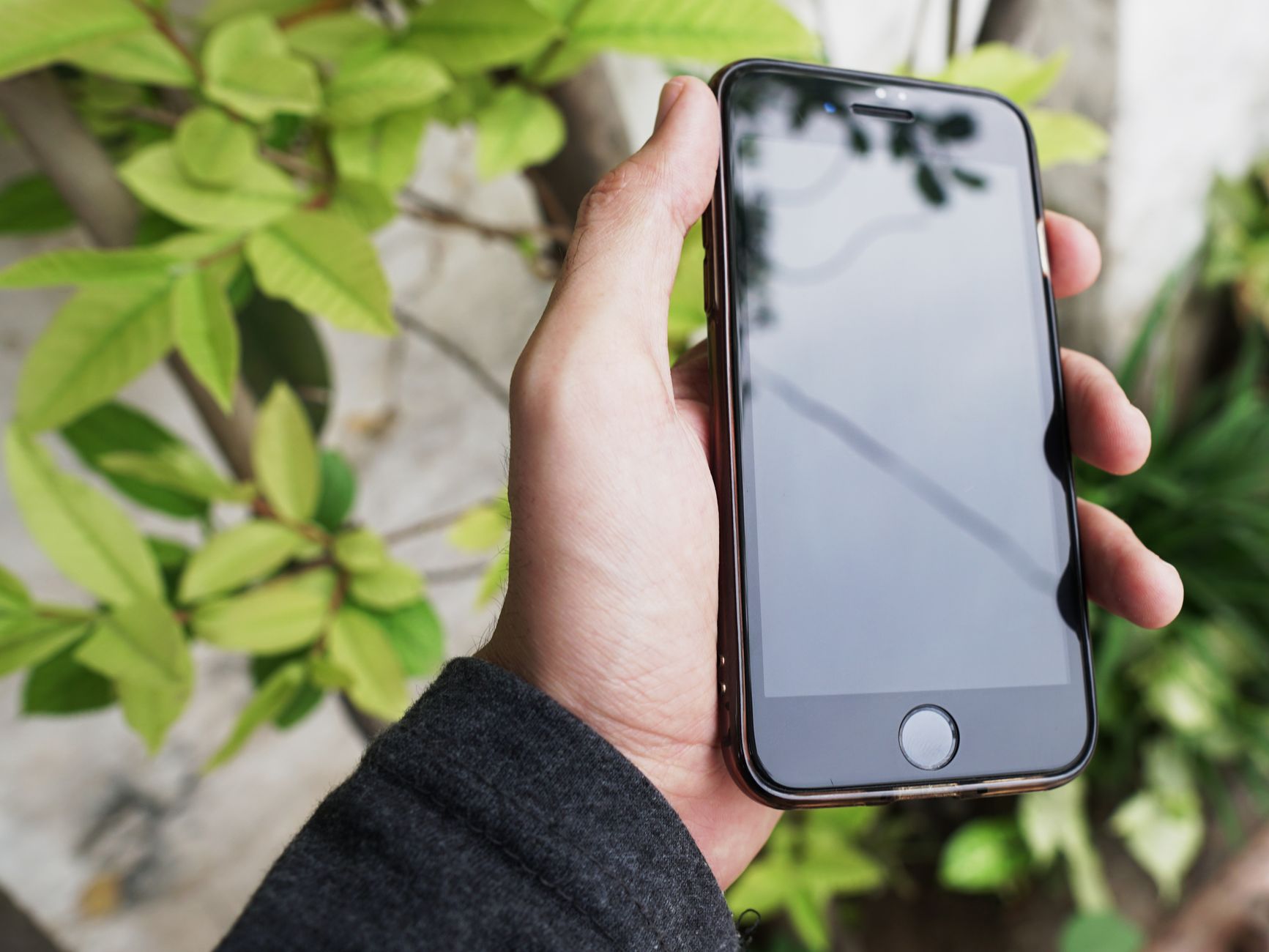 BIS Rule for Phone Screen Protectors: What You Need to Know